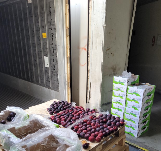 Saudi Arabia Inbound Fruit Inspection